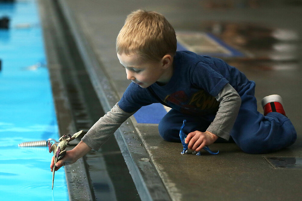 Dax Mills, 3, dips the tail of his velociraptor, named Velociraptee, into the pool